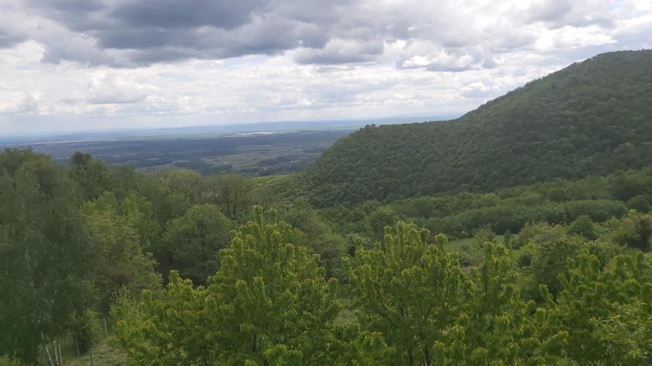 Kuca Za Odmor Poljanica Okicka Villa Jasztrebarszka Kültér fotó