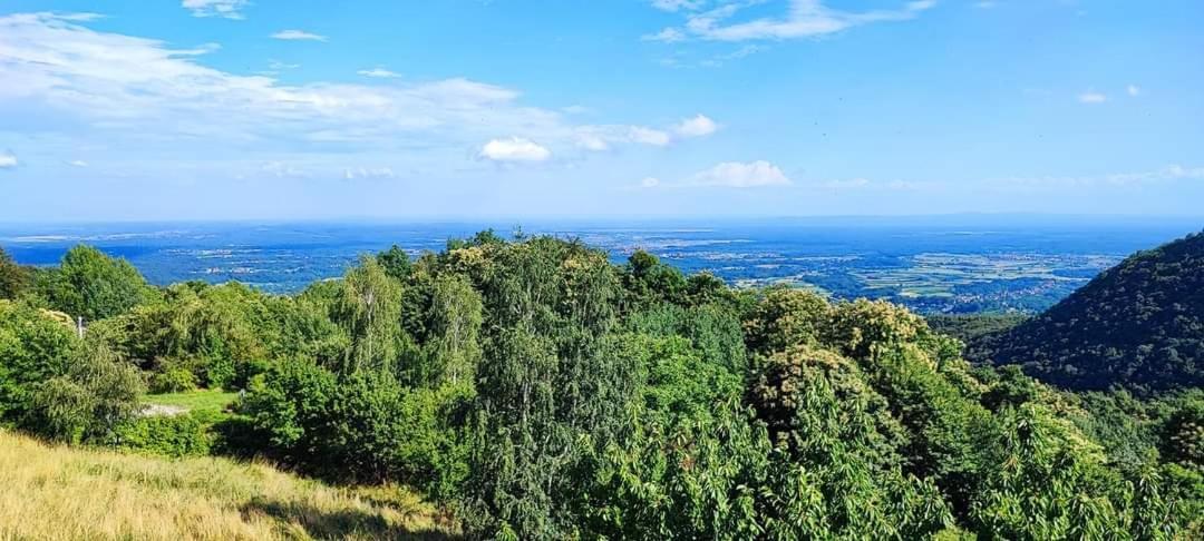 Kuca Za Odmor Poljanica Okicka Villa Jasztrebarszka Kültér fotó