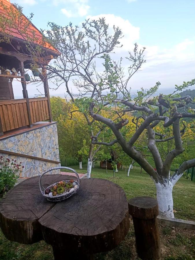 Kuca Za Odmor Poljanica Okicka Villa Jasztrebarszka Kültér fotó